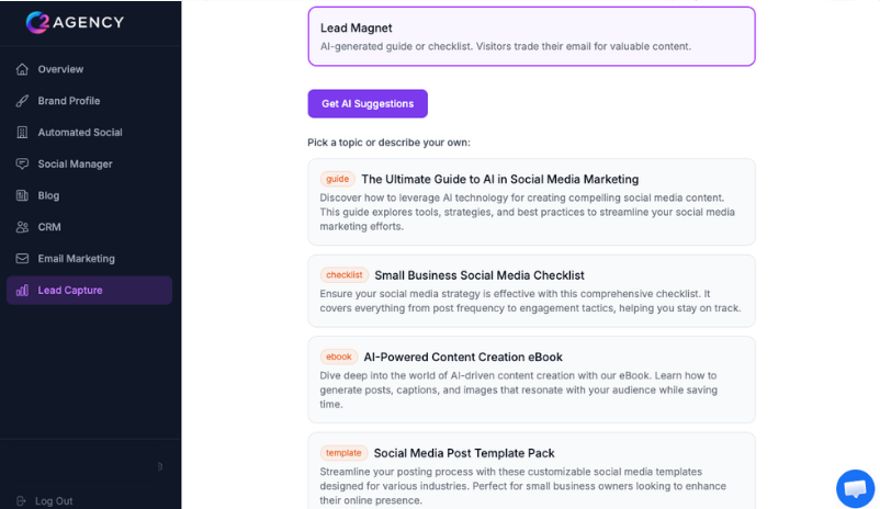 C2 Agency AI-generated lead magnet built for your audience